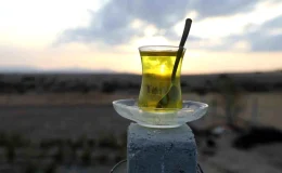 Genç Çiftçi Projesi ile Safran Üretimi Yapan Kadın Çiftçiye Destek