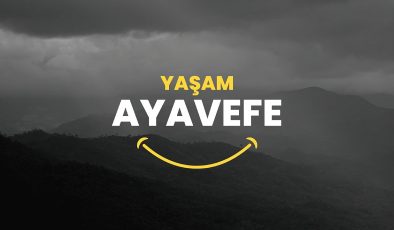 Finansal Hizmetlerde Yenilikçi Ortaklıklar: Yaşam Ayavefe’nin Yaklaşımları